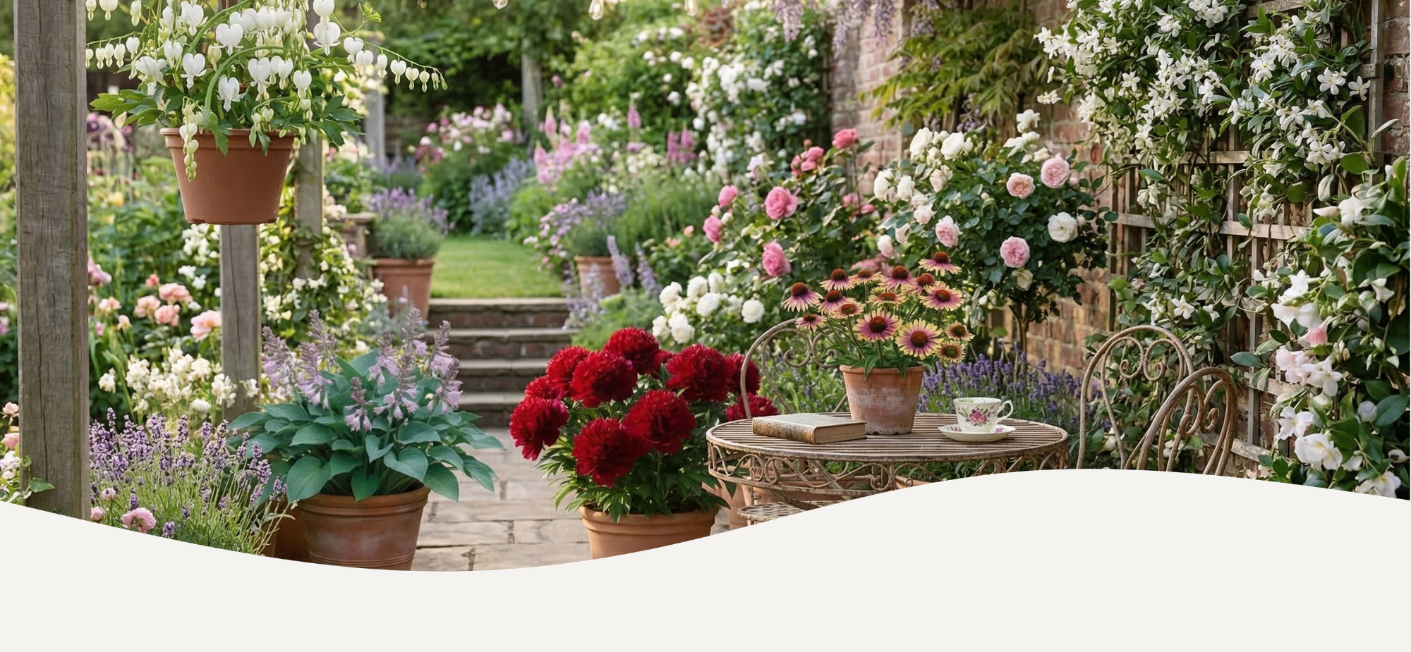 Rozkvetláí zahrada